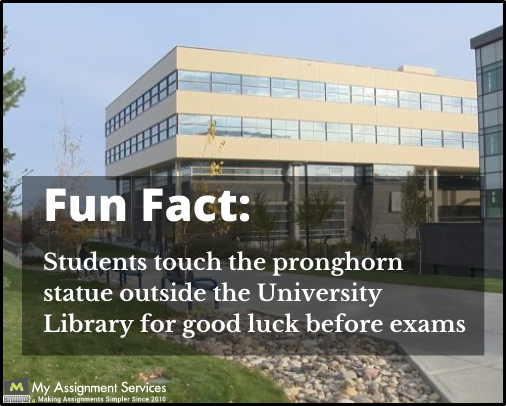 University of Lethbridge