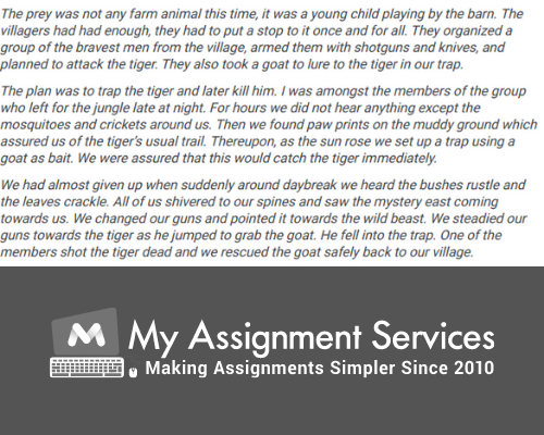 Narrative Writing essay sample