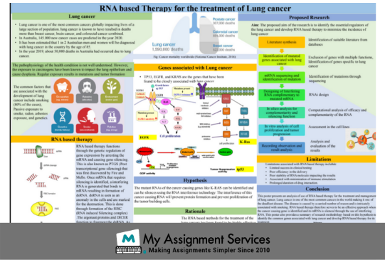 RNA Based Therapy for treatment of Lung Cancer