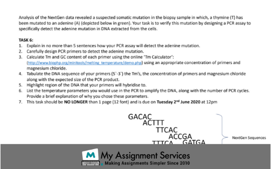 Adenine Assignment