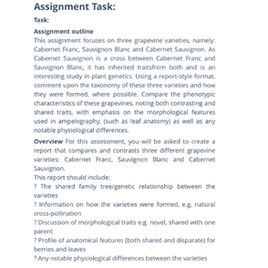vine physiology assignment sample