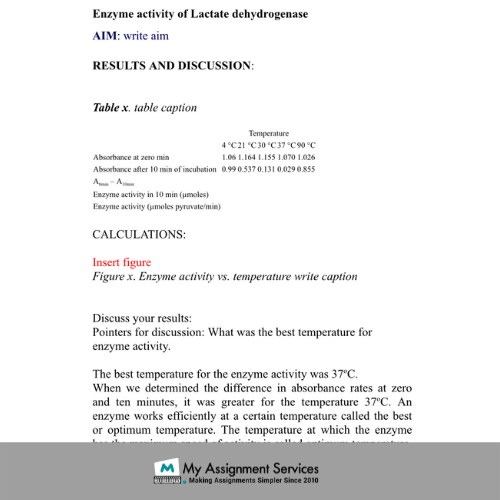 Practical Project Assignments Help Online