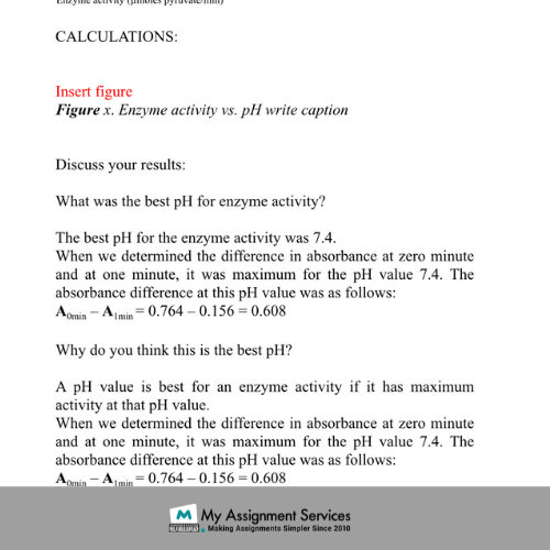 Project Assignments Help Online