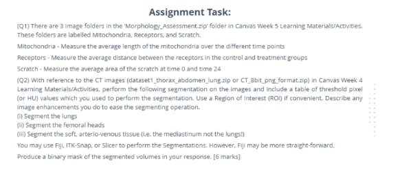 morphology Assessment