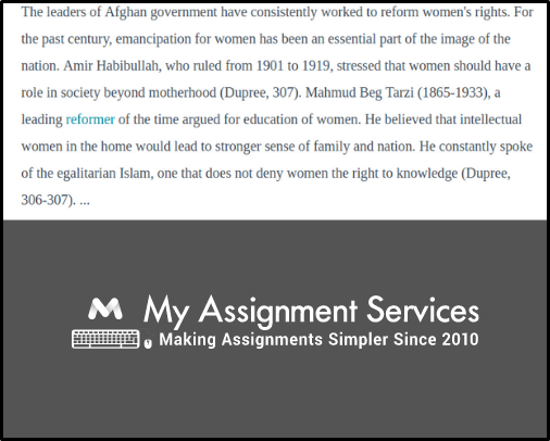 Afghanistan Essay Solution
