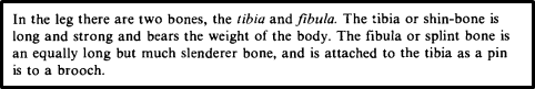 prose example