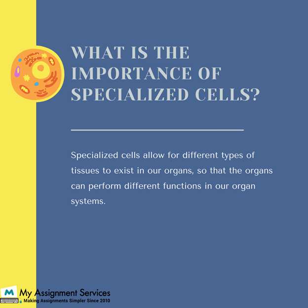 Specialized Cells