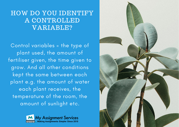 identify Controlled Variables