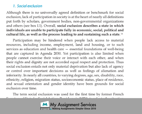 Social Inclusion and Equity Assignment Sample