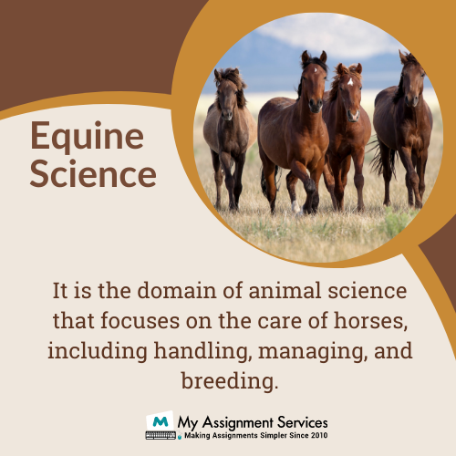 Equine Science
