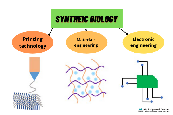 Synthetic Biology