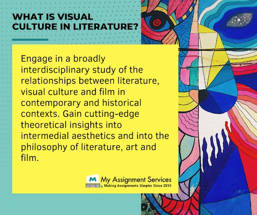 Visual Culture Assignment Help