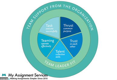 Team Support from Organization