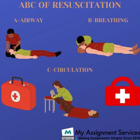 Critical Care Paramedic Assignment Help