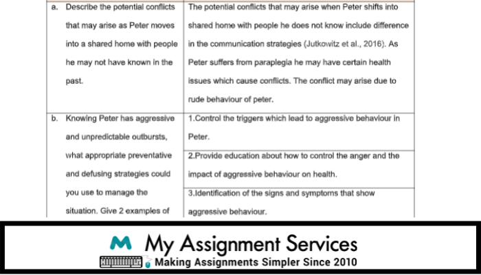 Individual Support assignment sample Two