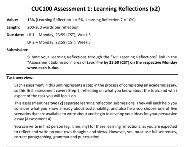 reflective journal samples