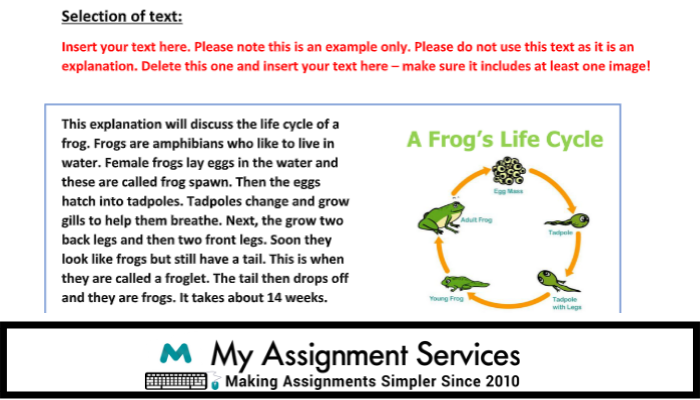 OET Intensive Course Assignment Sample