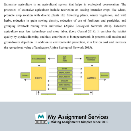 Assignmen solutions samples