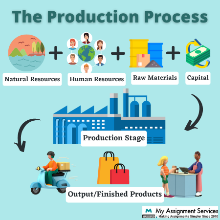the production process