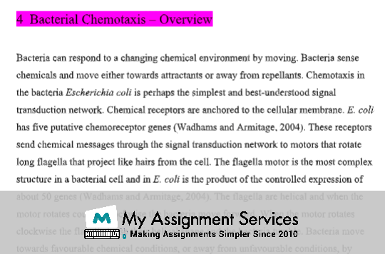samples of systems biology by experts at my assignment services in australia