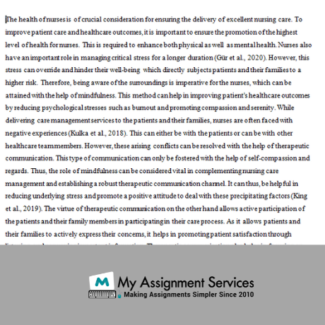 Therapeutic Relationship Assignment Sample
