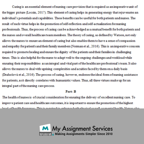 Therapeutic Relationship Assignment Help Sample