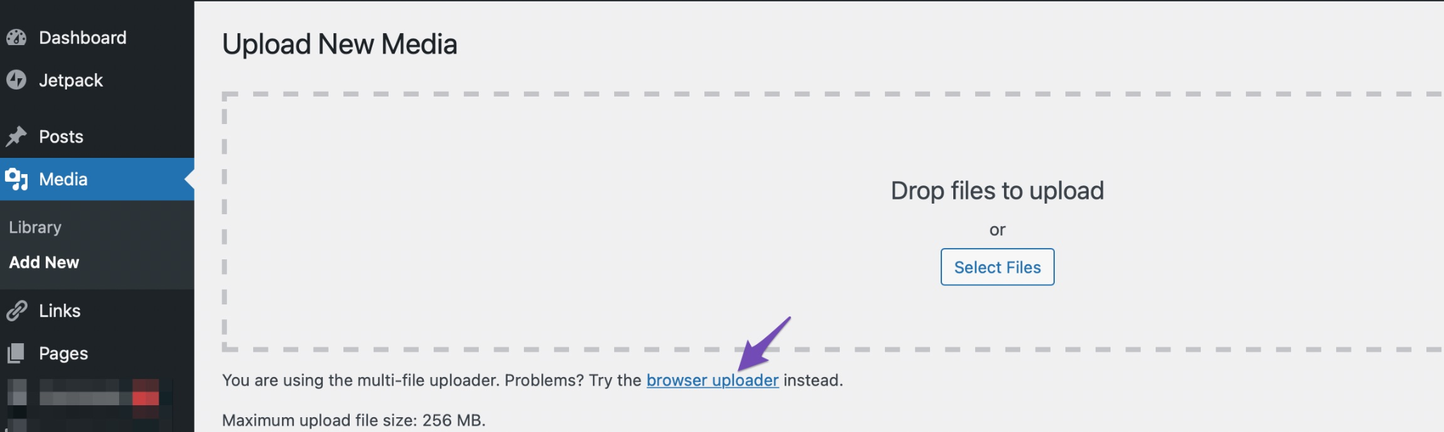 wordpress 1