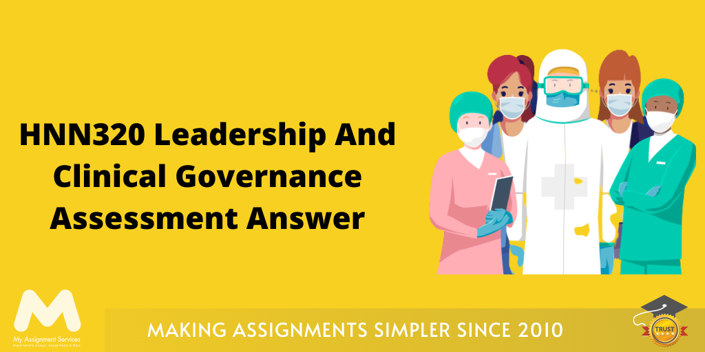 HNN320 leadership and clinical governance