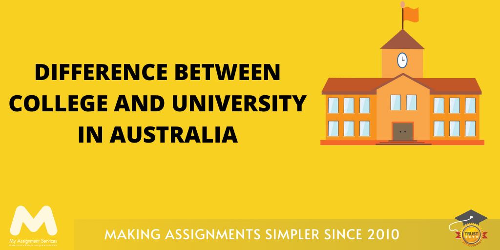 college or university