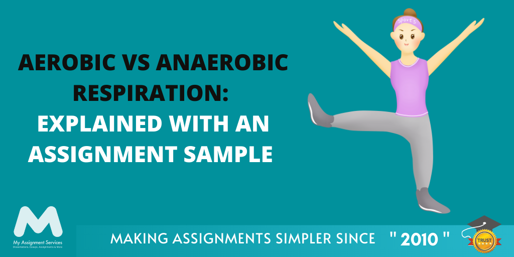 Aerobic Vs Anaerobic Respiration: Explained with an Assignment Sample