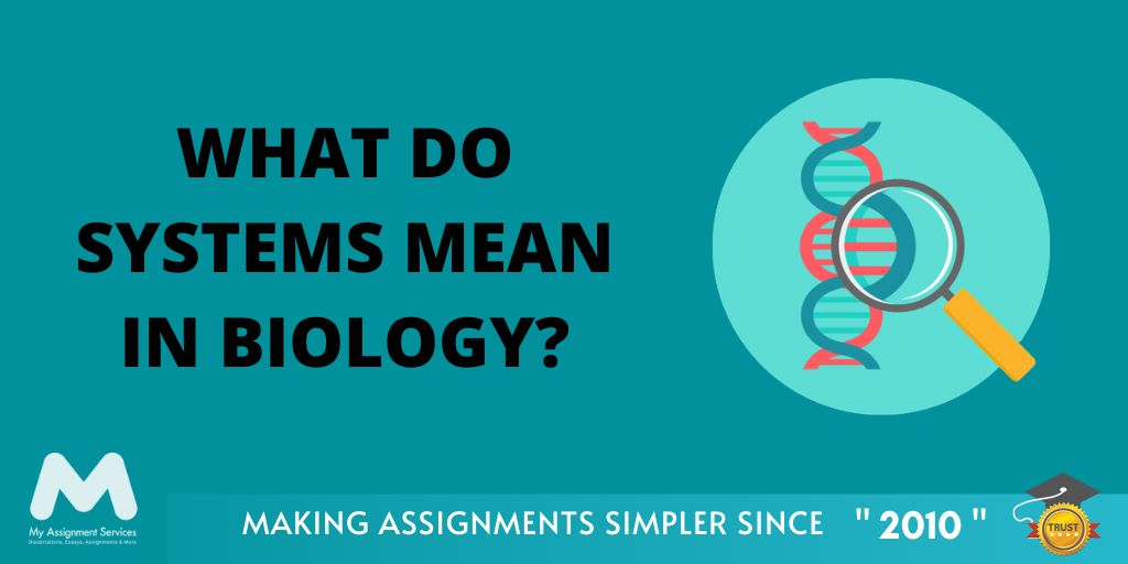 What do Systems Mean in Biology